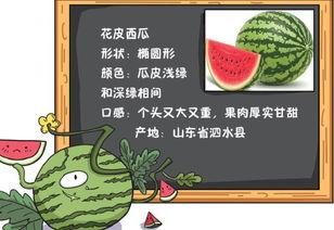 别样吃瓜知乎免费阅读,揭秘知乎免费阅读背后的故事  第2张