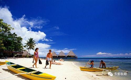 巴厘岛身亡爆料者视频,真相背后令人震惊！  第1张